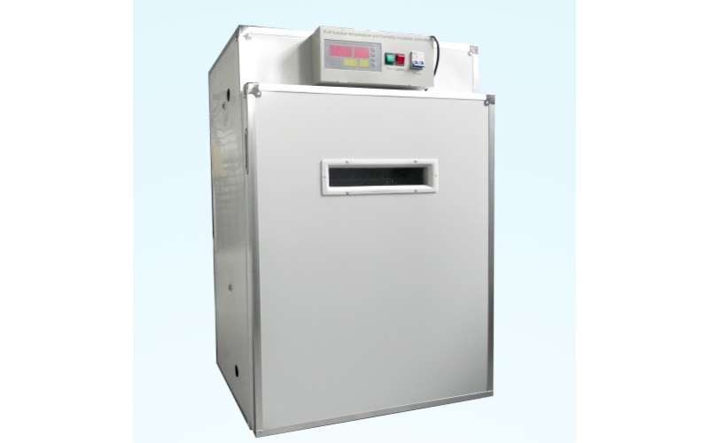 Automatic 440 eggs poultry brooder